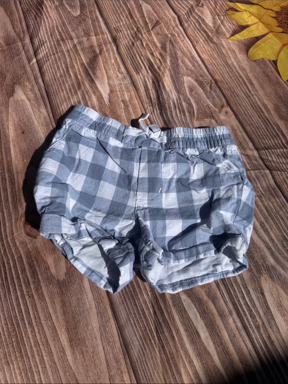 Janie and Jack Blue and White Gingham Cotton Shorts